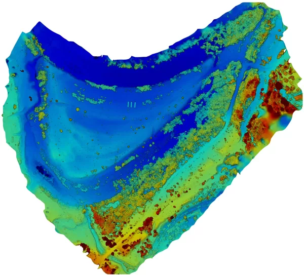 DSM - Virsmas augstuma modelis